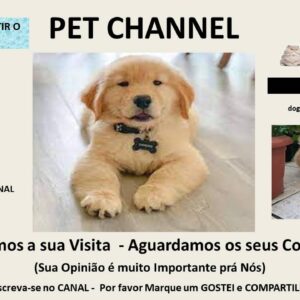 Pet Channel